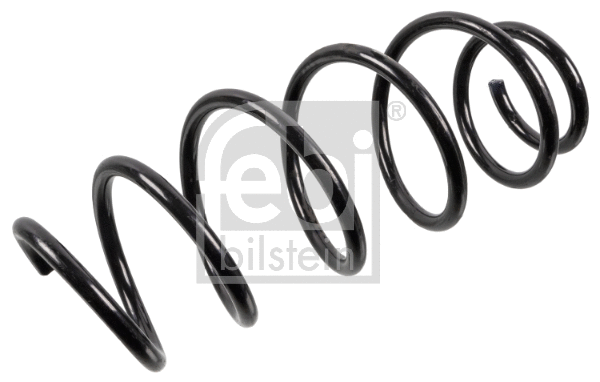 Suspension Spring (176336)
