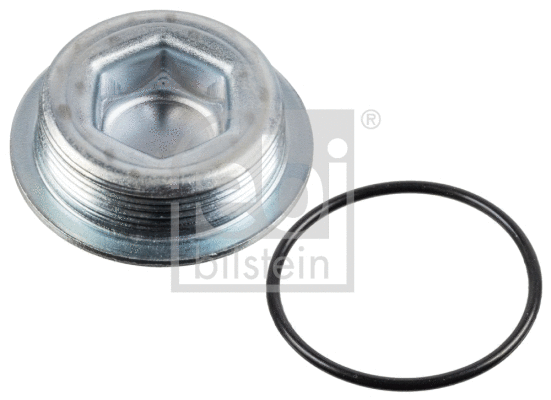Screw Plug, crankcase (38554)