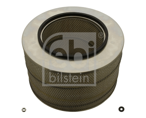 Air Filter (30346)