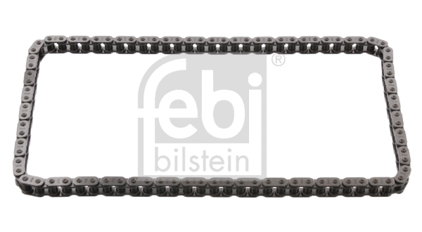 Timing Chain (25364)