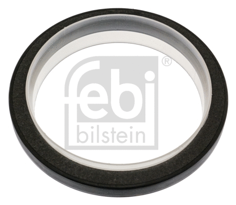 Shaft Seal, crankshaft (29824)