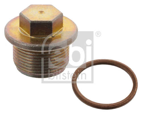 Screw Plug, oil sump (19401)