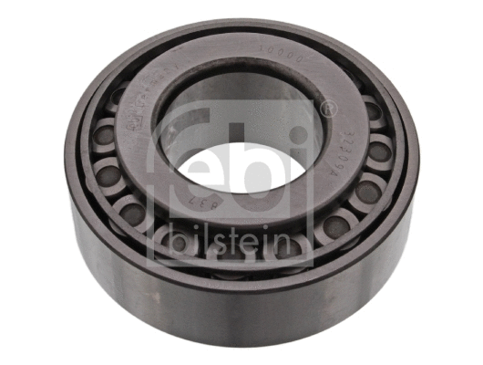 Wheel Bearing (10000)
