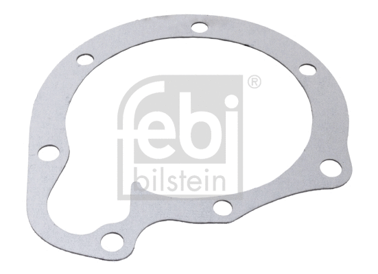Gasket, water pump (30563)