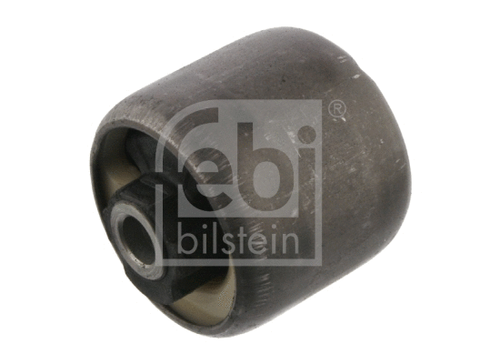 Bushing, axle beam (19829)