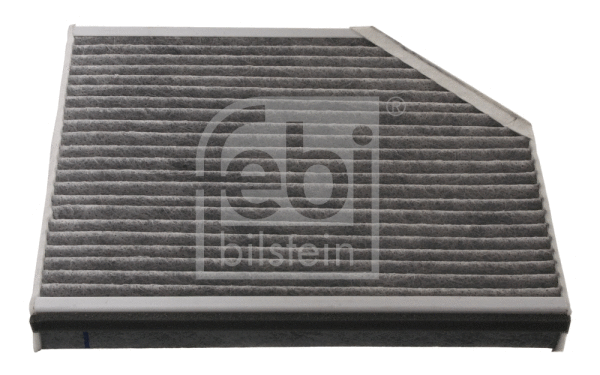 Filter, cabin air (31375)