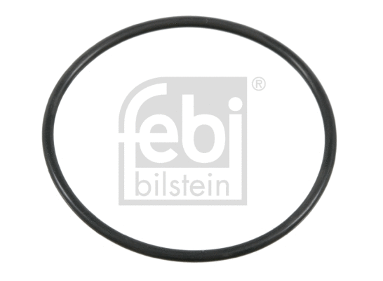 Seal Ring (18429)
