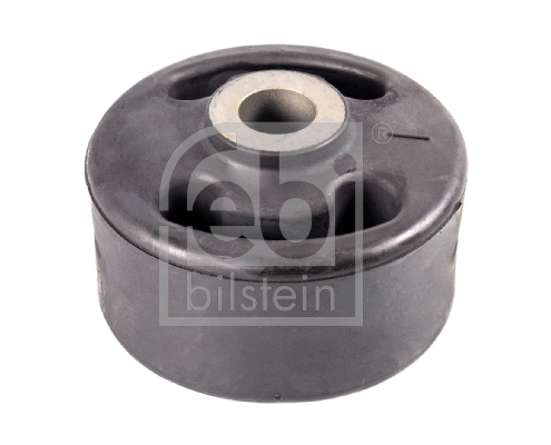 Bushing, axle beam (40616)