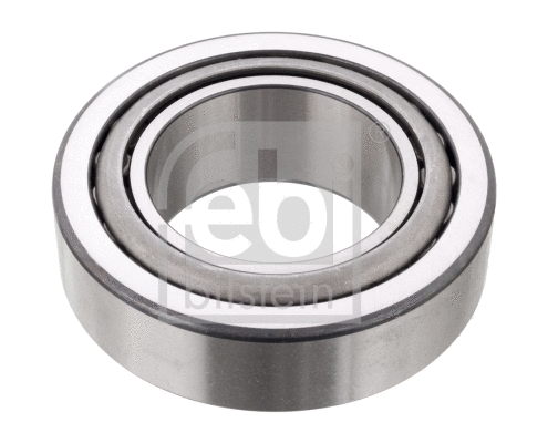 Wheel Bearing (19309)
