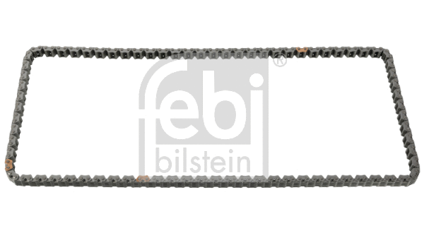 Timing Chain (171414)