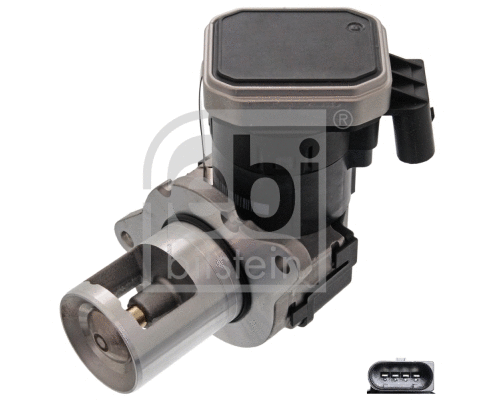 EGR Valve (100549)