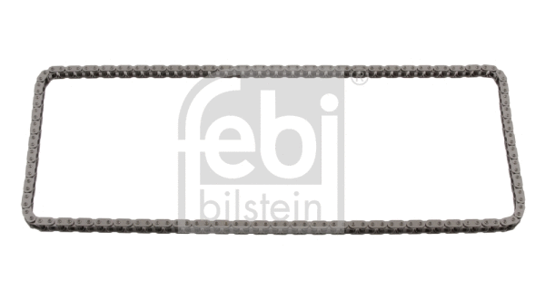 Timing Chain (29864)