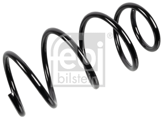 Suspension Spring (174731)