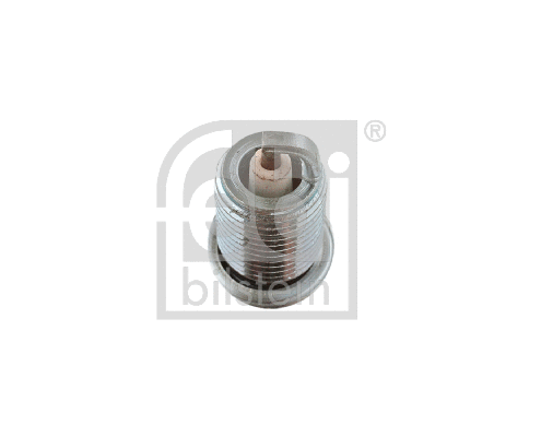 Spark Plug