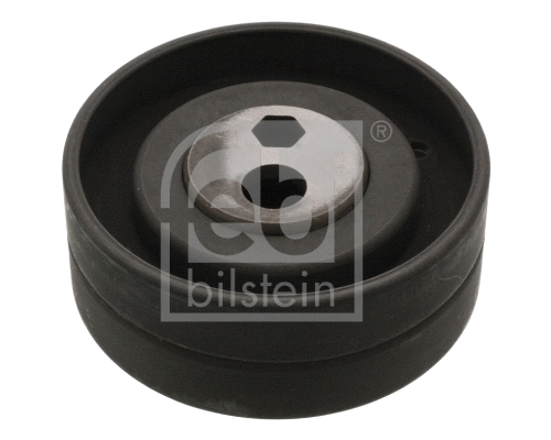 Tensioner Pulley, timing belt (06305)