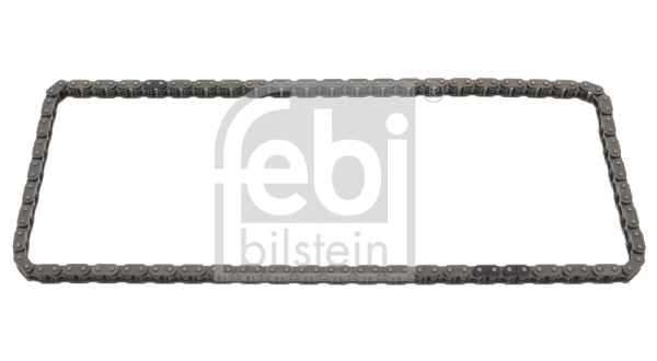 Timing Chain (49575)