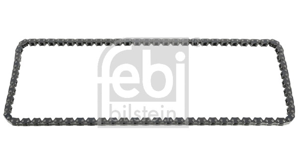 Timing Chain (172273)