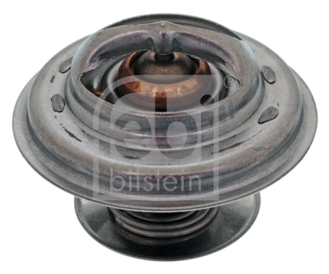 Thermostat, coolant (10528)