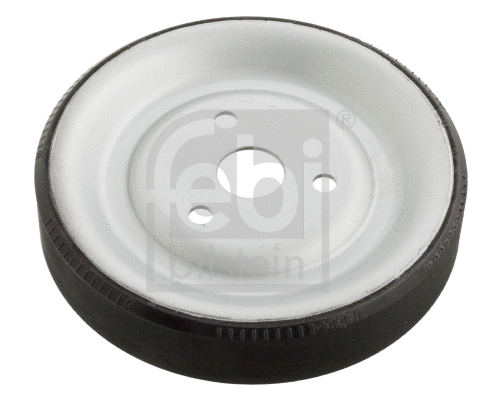 Belt Pulley, water pump (102466)