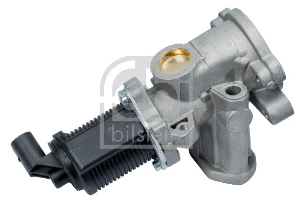 EGR Valve
