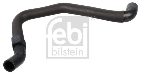 Radiator Hose (170979)