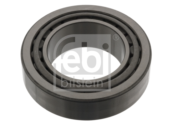 Wheel Bearing (45341)