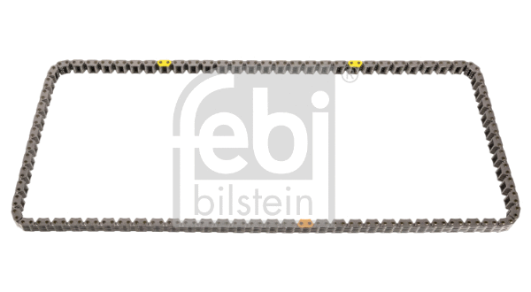 Timing Chain (100619)