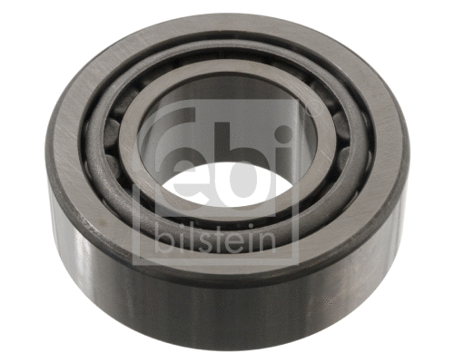 Wheel Bearing (47989)