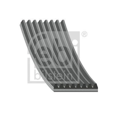 V-Ribbed Belt (181871)