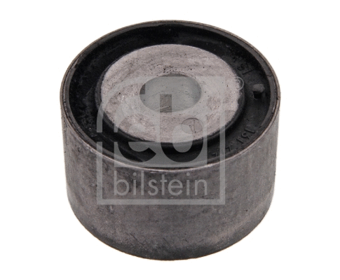 Mounting, differential (10843)