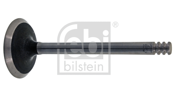 Intake Valve (21026)