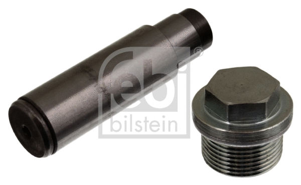 Tensioner, timing chain (12979)