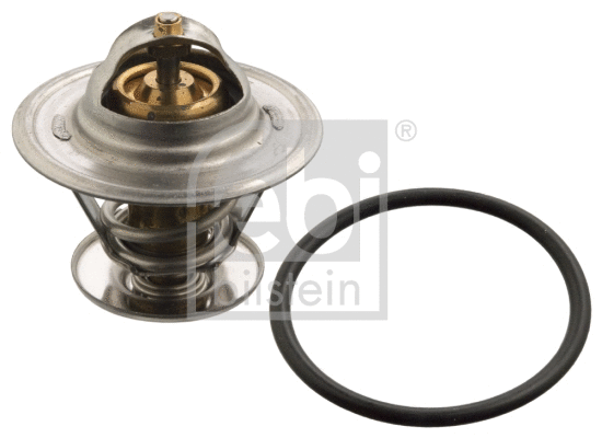 Thermostat, coolant (17976)