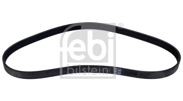 V-Ribbed Belt (177991)