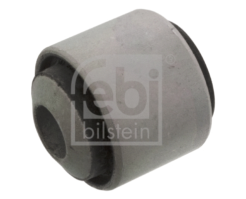 Mounting, control/trailing arm (45866)