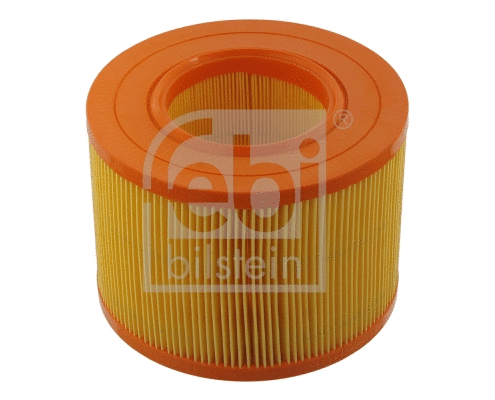 Air Filter (31436)