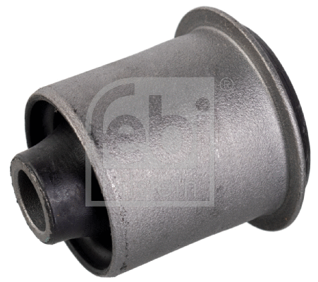 Mounting, control/trailing arm