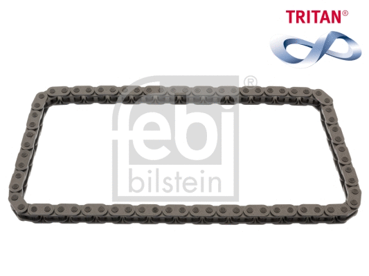Timing Chain (49528)