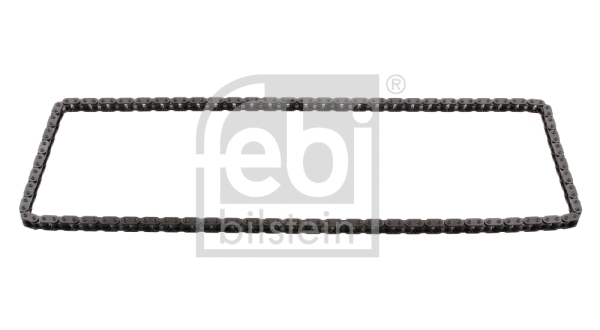 Timing Chain (30394)