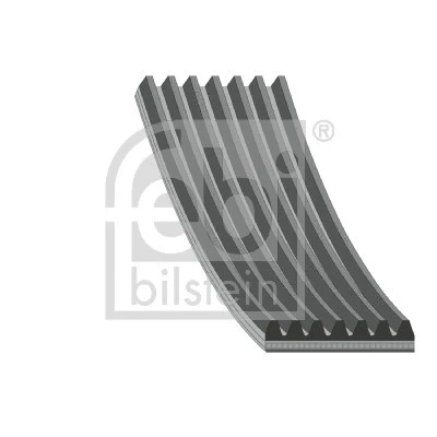 V-Ribbed Belt (180079)