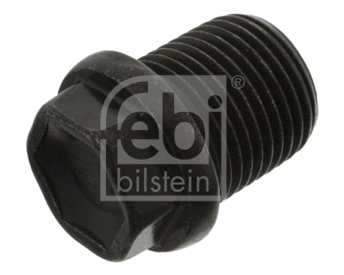 Screw Plug, oil sump (22148)