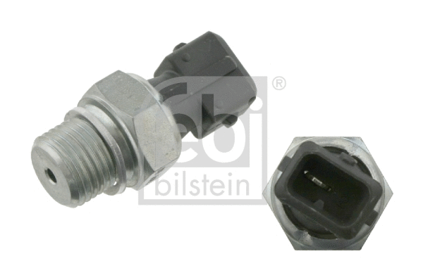 Oil Pressure Switch (18669)