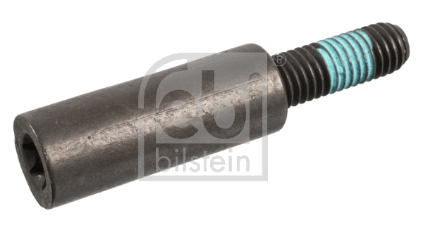 Sliding Rail Bolts, timing chain (47398)