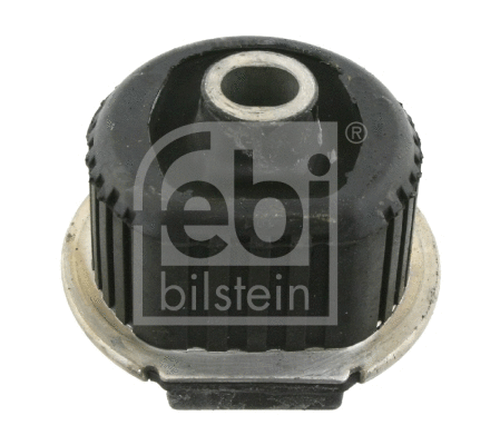 Bushing, axle beam (10155)