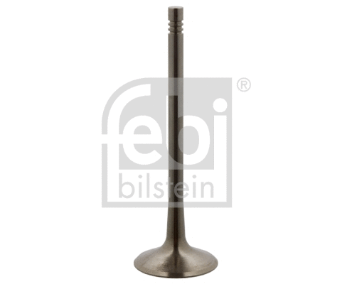 Intake Valve (36497)