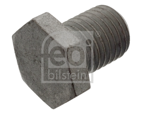 Screw Plug, oil sump (48890)