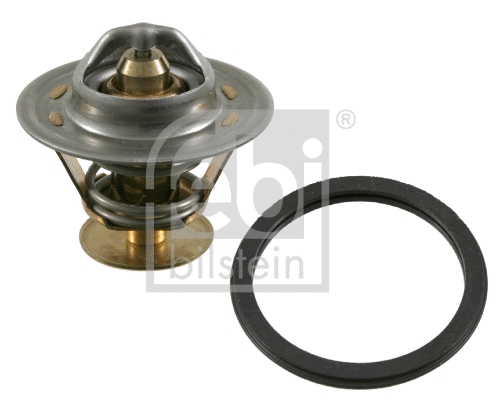 Thermostat, coolant (11493)