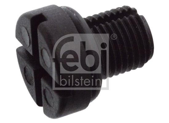 Breather Screw/Valve, radiator (23750)
