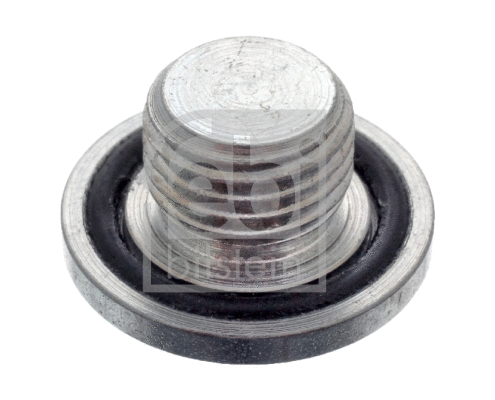 Screw Plug, oil sump (40952)