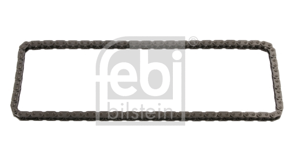 Timing Chain (33894)